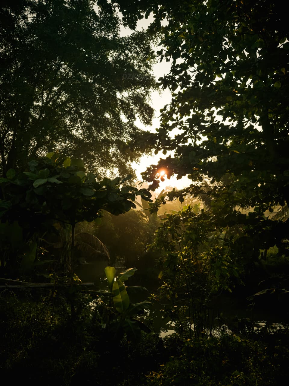 Dzaky Portfolio Header